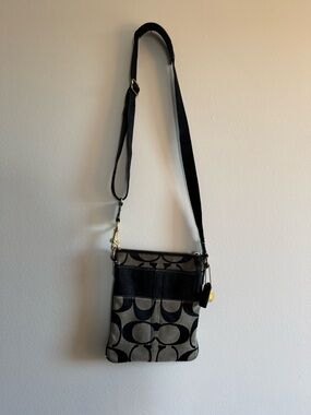 Coach Signature Stripe Swingpack Crossbody